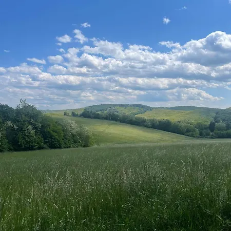 Kisfaludy Kaste
